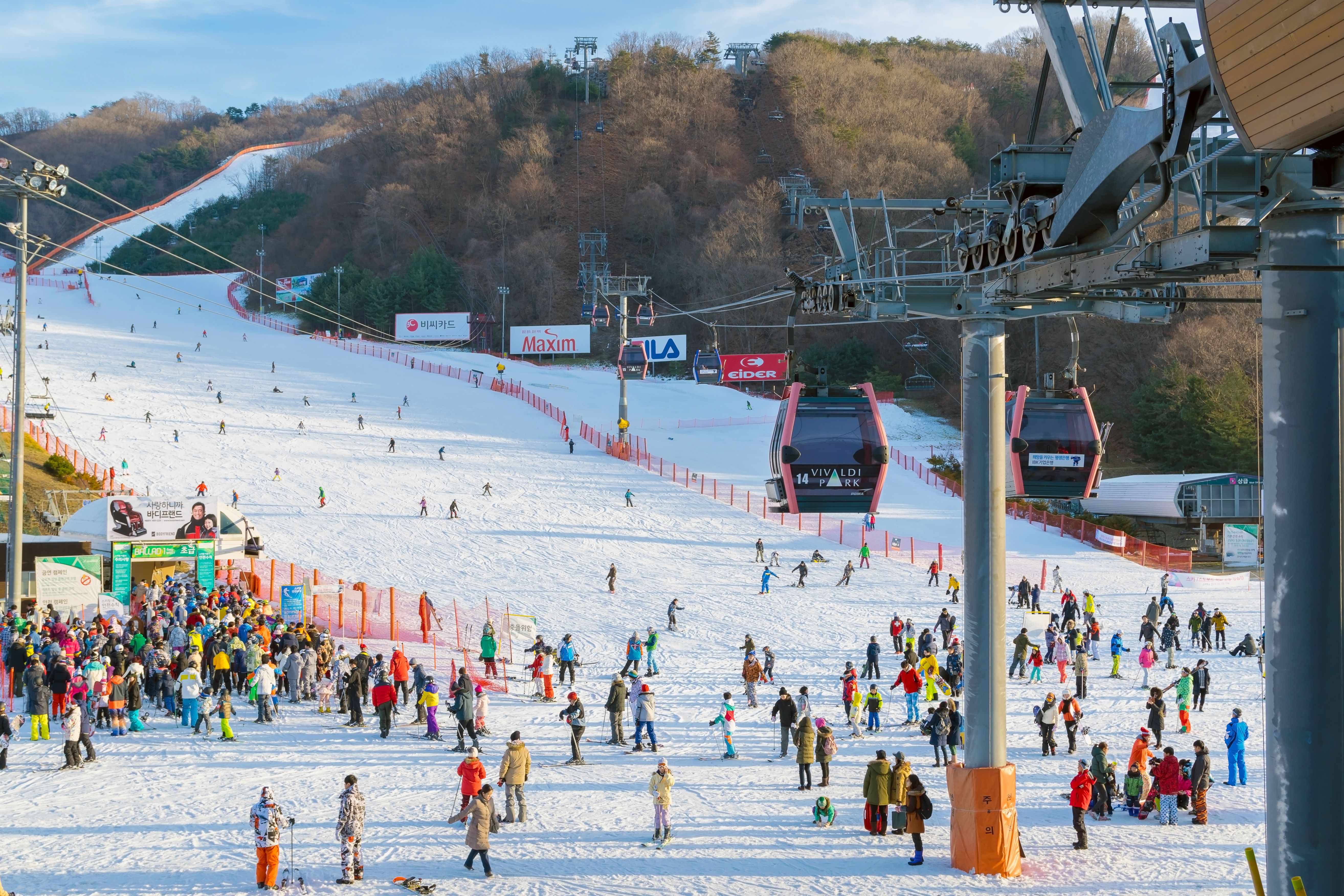 Vivaldi Park Winter Ski & Nami Island Day Tour  - Photo 1 of 6